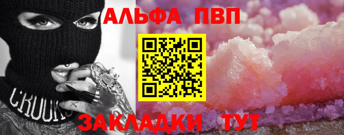 Альфа ПВП СК КРИС Кондопога