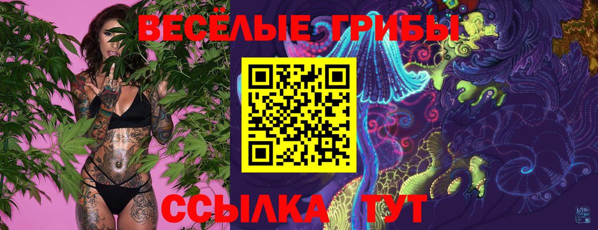 Псилоцибиновые грибы прущие грибы  Вход с VPN  Кондопога 